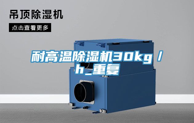 耐高温小黄片直播视频30kg／h_重复