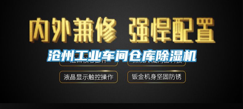 沧州工业车间仓库小黄片直播视频