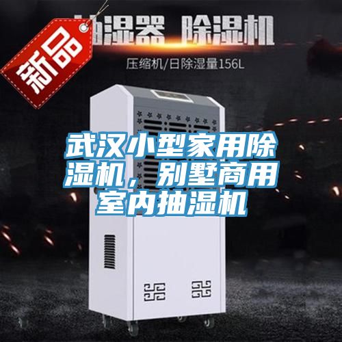武汉小型家用小黄片直播视频，别墅商用室内抽湿机