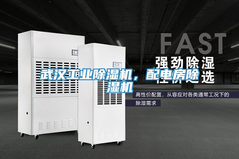 武汉工业小黄片直播视频，配电房小黄片直播视频