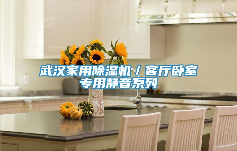 武汉家用小黄片直播视频／客厅卧室专用静音系列