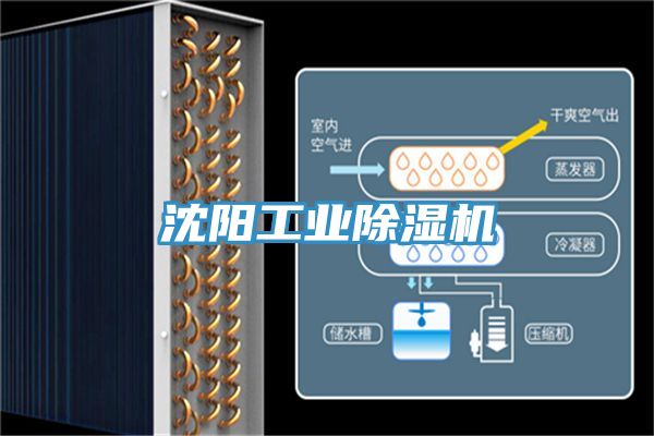 沈阳工业小黄片直播视频