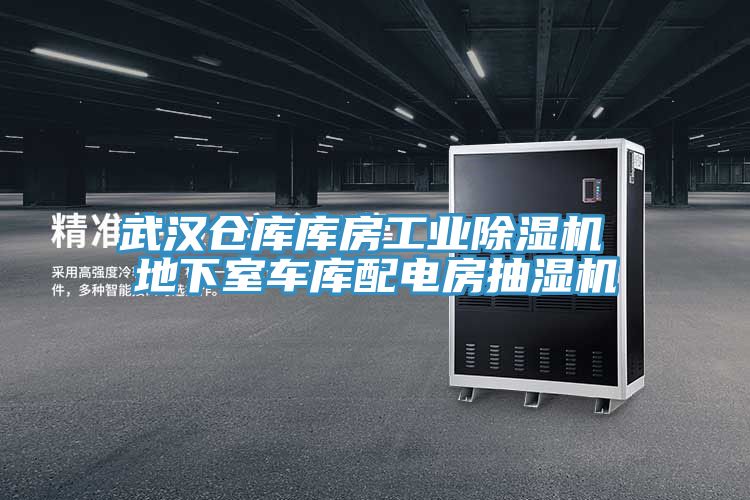 武汉仓库库房工业小黄片直播视频 地下室车库配电房抽湿机