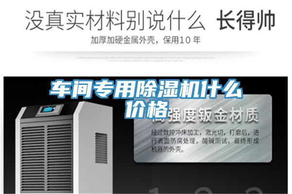 车间专用小黄片直播视频什么价格