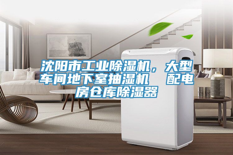 沈阳市工业小黄片直播视频，大型车间地下室抽湿机  配电房仓库除湿器