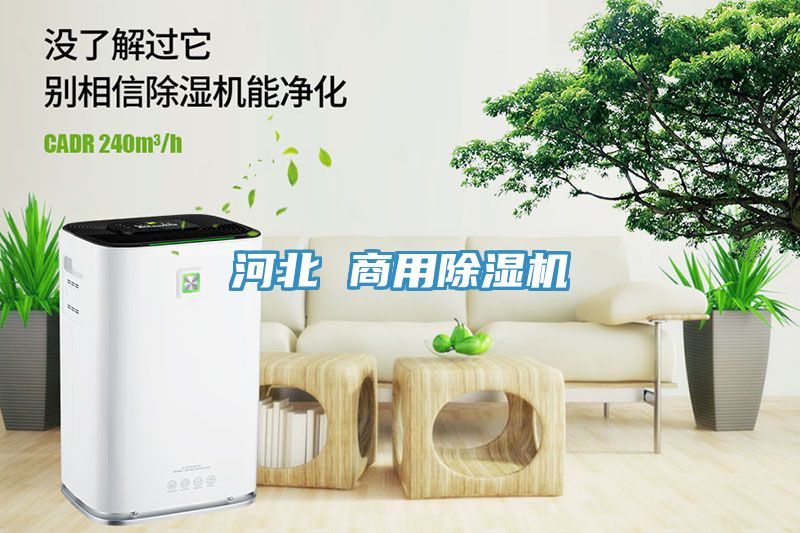 河北 商用小黄片直播视频