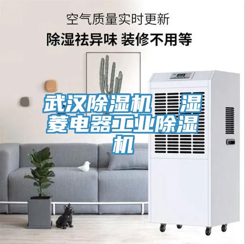 武汉小黄片直播视频  湿菱电器工业小黄片直播视频