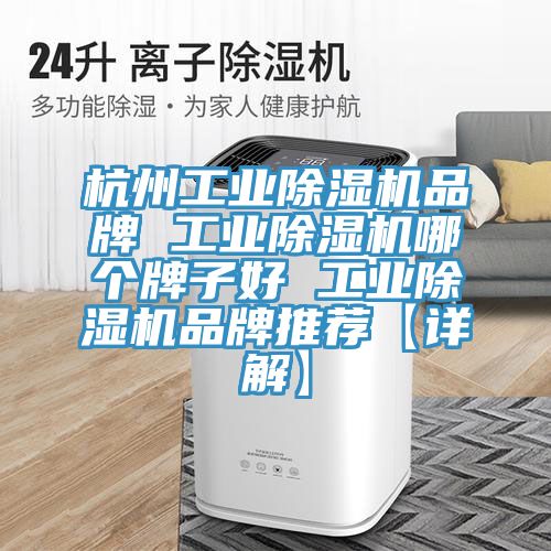 杭州工业小黄片直播视频品牌 工业小黄片直播视频哪个牌子好 工业小黄片直播视频品牌推荐【详解】