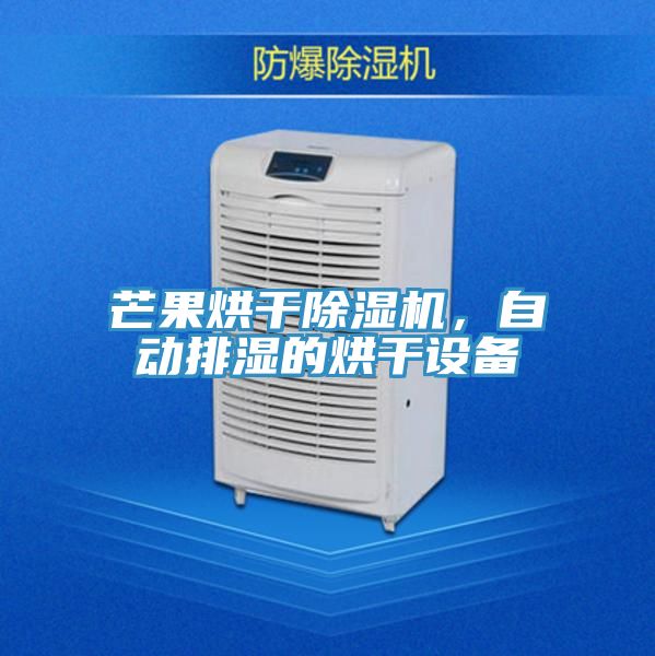 芒果烘干小黄片直播视频，自动排湿的烘干设备