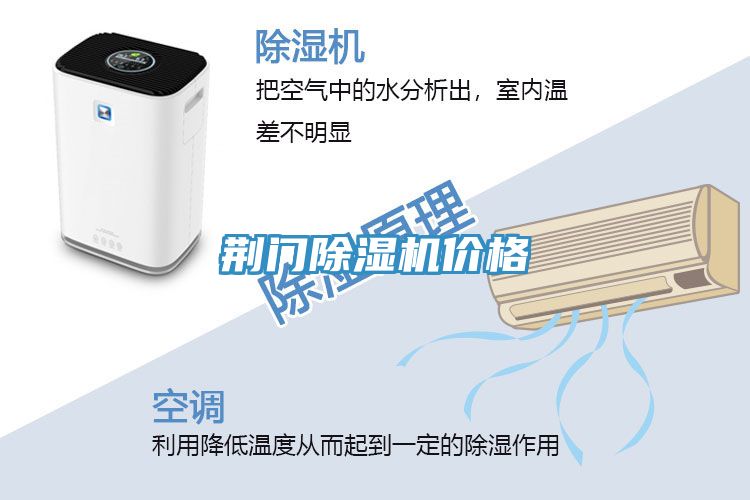 荆门小黄片直播视频价格