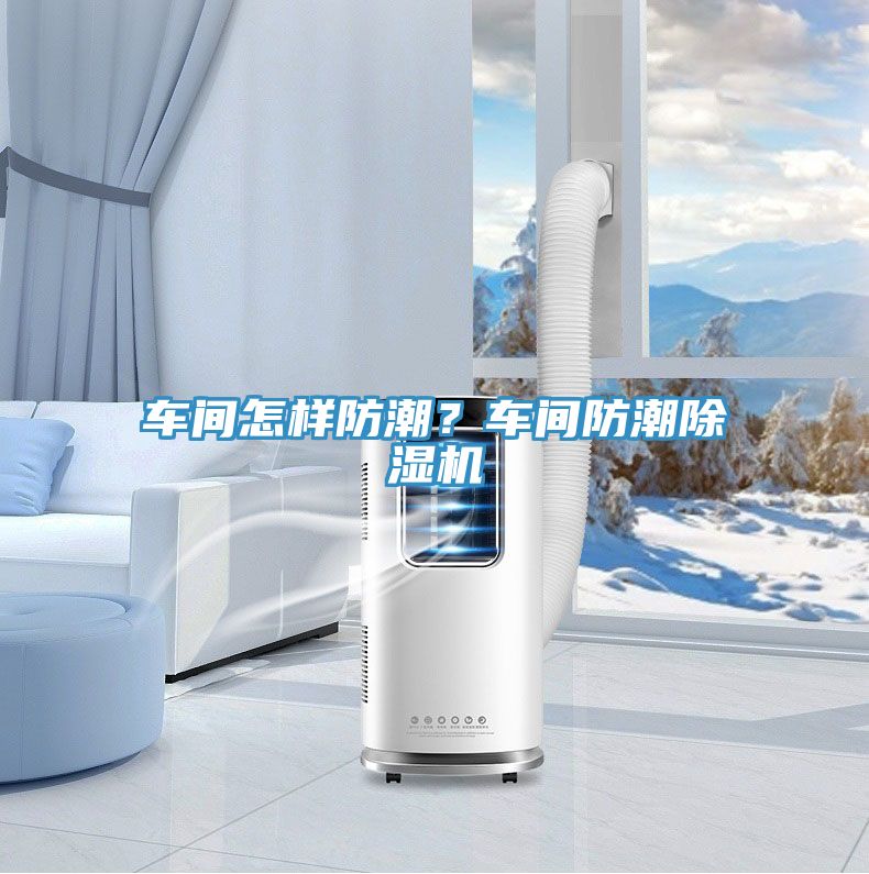 车间怎样防潮？车间防潮小黄片直播视频