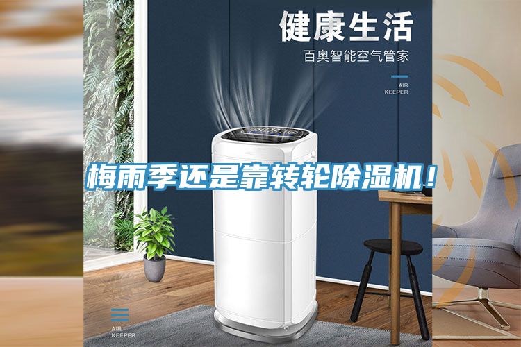 梅雨季还是靠转轮小黄片直播视频！
