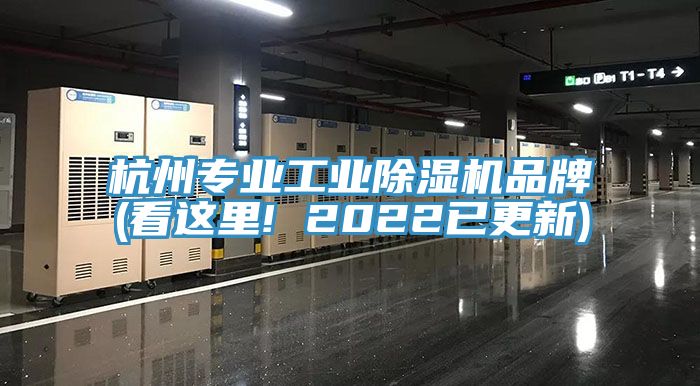 杭州专业工业小黄片直播视频品牌(看这里! 2022已更新)