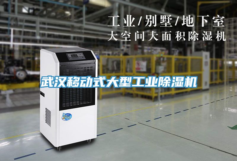 武汉移动式大型工业小黄片直播视频