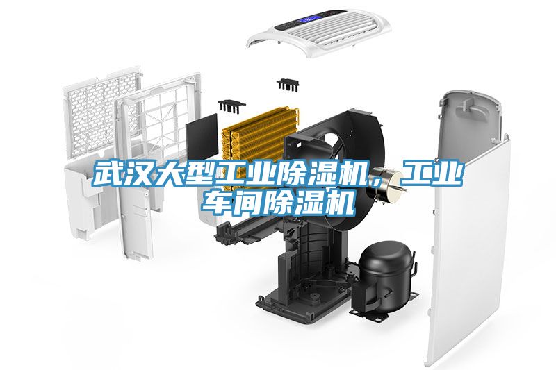 武汉大型工业小黄片直播视频，工业车间小黄片直播视频