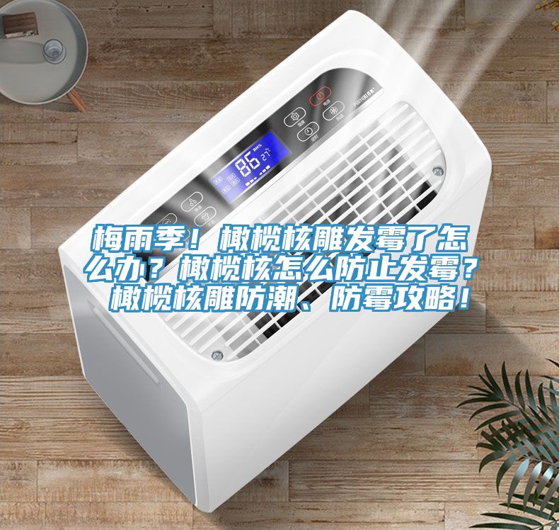 梅雨季！橄榄核雕发霉了怎么办？橄榄核怎么防止发霉？ 橄榄核雕防潮、防霉攻略！