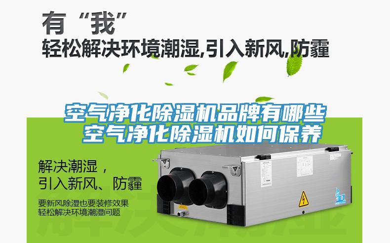 空气净化小黄片直播视频品牌有哪些 空气净化小黄片直播视频如何保养