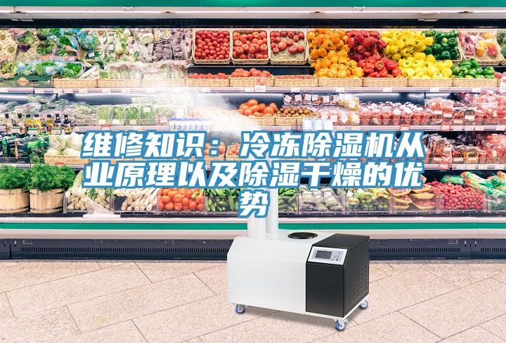 维修知识：冷冻小黄片直播视频从业原理以及除湿干燥的优势