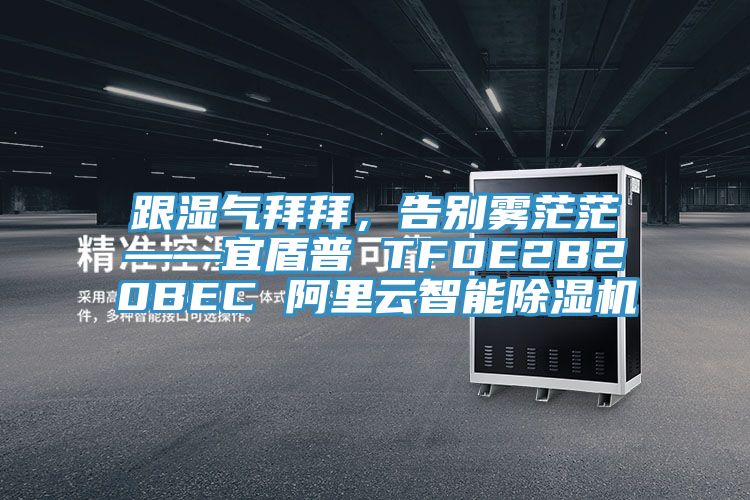 跟湿气拜拜，告别雾茫茫——宜盾普 TFDE2B20BEC 阿里云智能小黄片直播视频