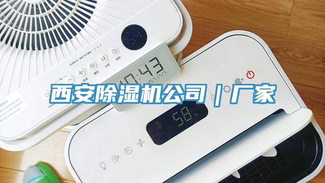 西安小黄片直播视频公司｜厂家