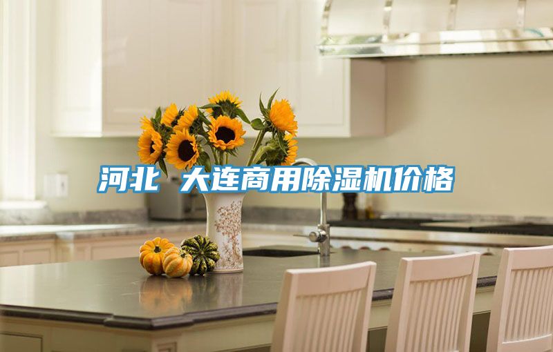 河北 大连商用小黄片直播视频价格