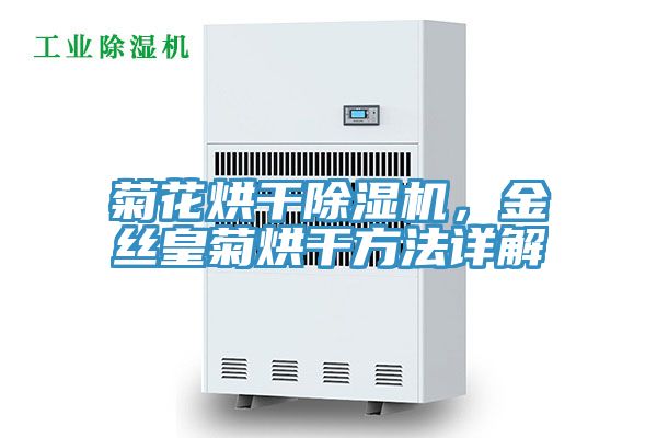 菊花烘干小黄片直播视频，金丝皇菊烘干方法详解