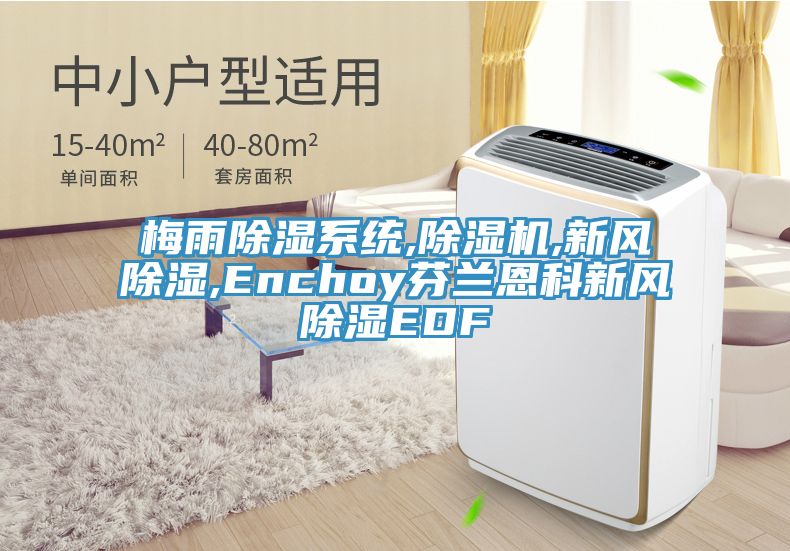 梅雨除湿系统,小黄片直播视频,新风除湿,Enchoy芬兰恩科新风除湿EDF