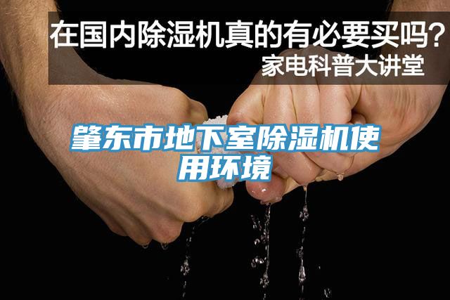 肇东市地下室小黄片直播视频使用环境