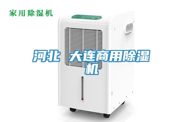 河北 大连商用小黄片直播视频