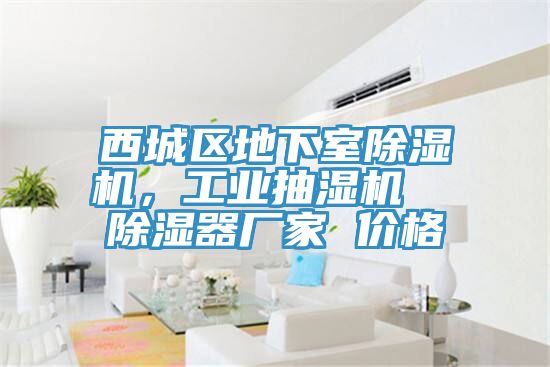 西城区地下室小黄片直播视频，工业抽湿机  除湿器厂家 价格