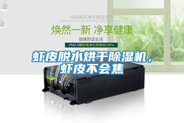 虾皮脱水烘干小黄片直播视频，虾皮不会焦