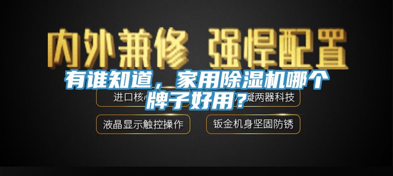 有谁知道，家用小黄片直播视频哪个牌子好用？