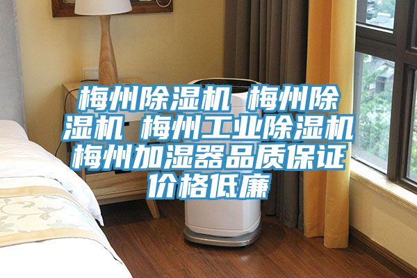 梅州小黄片直播视频☆梅州小黄片直播视频☆梅州工业小黄片直播视频☆梅州加湿器品质保证价格低廉