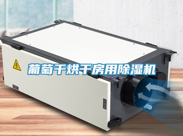葡萄干烘干房用小黄片直播视频