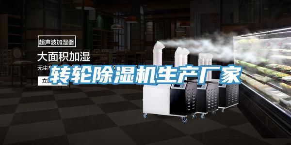 转轮小黄片直播视频生产厂家