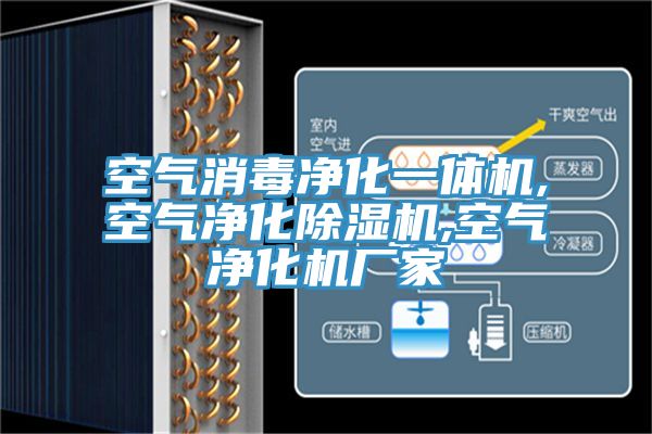 空气消毒净化一体机,空气净化小黄片直播视频,空气净化机厂家