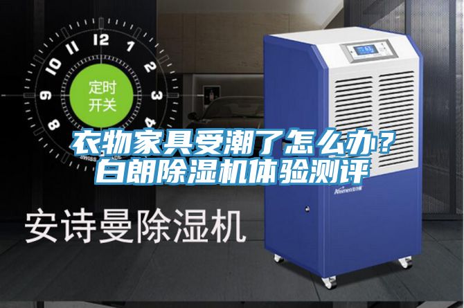衣物家具受潮了怎么办？白朗小黄片直播视频体验测评