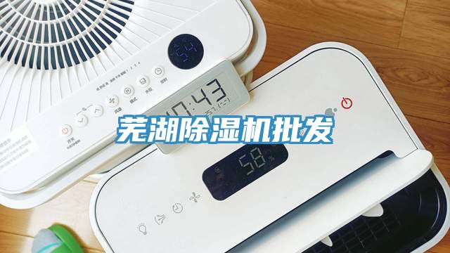 芜湖小黄片直播视频批发