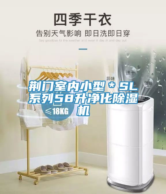 荆门室内小型＊SL系列58升净化小黄片直播视频