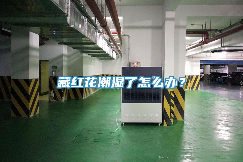 藏红花潮湿了怎么办？