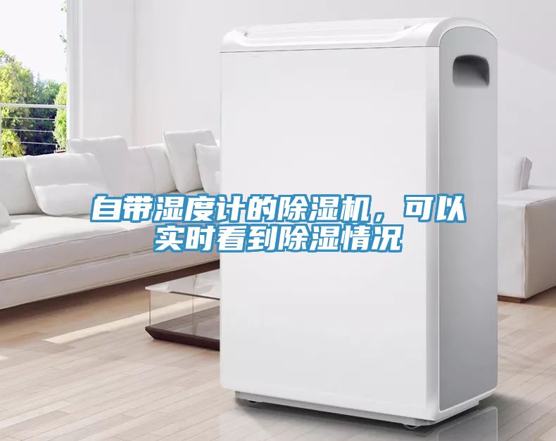 自带湿度计的小黄片直播视频，可以实时看到除湿情况