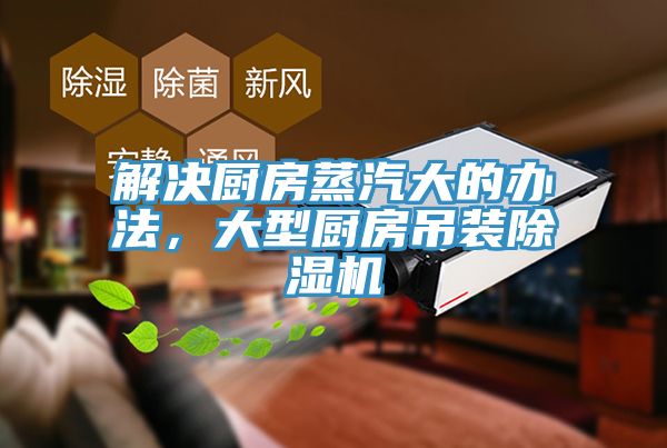解决厨房蒸汽大的办法，大型厨房吊装小黄片直播视频