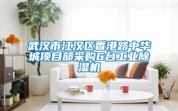 武汉市江汉区香港路中华城项目部采购6台工业小黄片直播视频