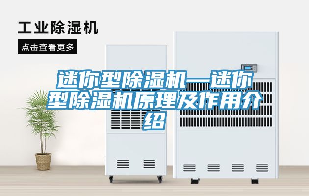迷你型小黄片直播视频—迷你型小黄片直播视频原理及作用介绍