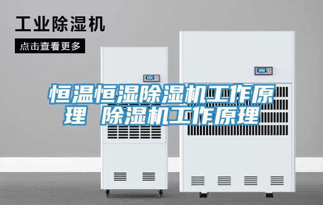 恒温恒湿小黄片直播视频工作原理 小黄片直播视频工作原理