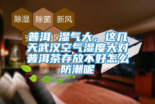 普洱 湿气大，这几天武汉空气湿度大对普洱茶存放不好怎么防潮呢