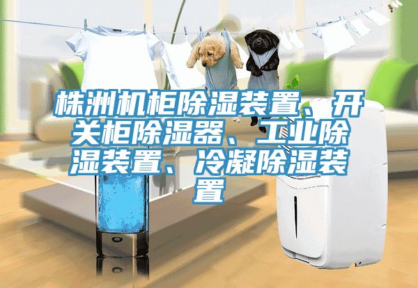 株洲机柜除湿装置、开关柜除湿器、工业除湿装置、冷凝除湿装置