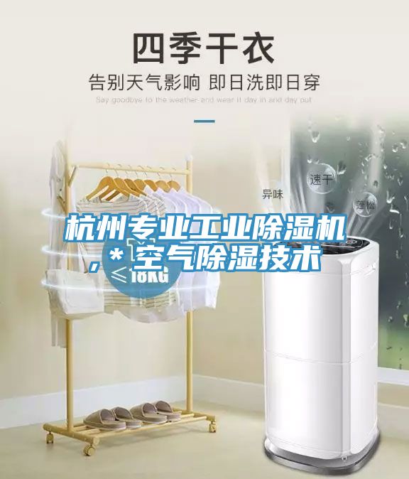 杭州专业工业小黄片直播视频,＊空气除湿技术