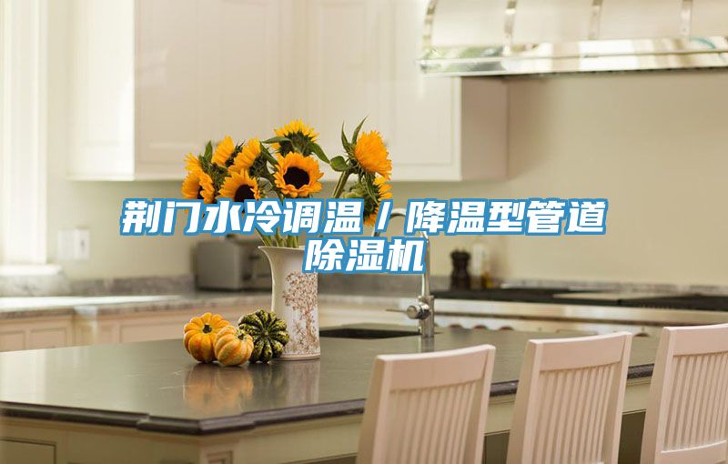 荆门水冷调温／降温型管道小黄片直播视频
