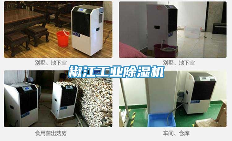椒江工业小黄片直播视频